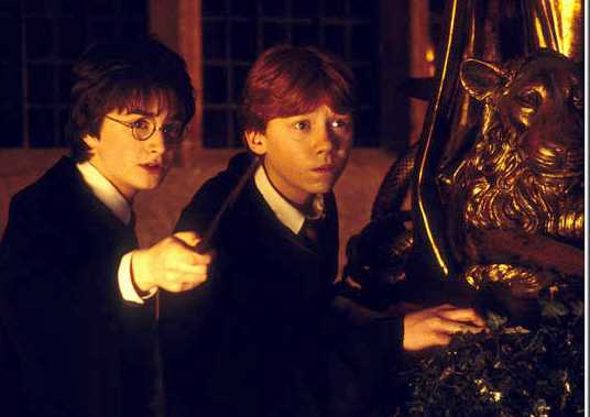 Harry and Ron are obviously getting ready to battle something