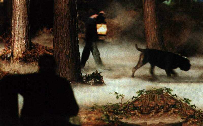 Harry and Fang in the Forbidden Forest